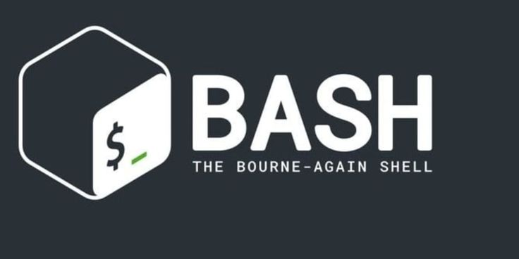 Mastering Bash Scripting: From Zero to Automation Hero