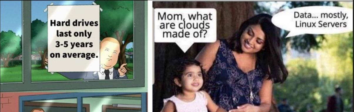 Your Brain on Memes: The Science Behind Why We Love Internet Humor